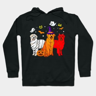 Funny Golden Retriever Mummy Witch Demon Halloween Hoodie